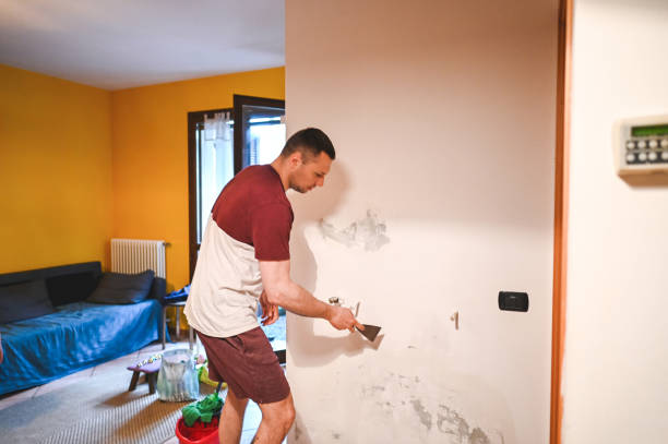 Trusted Pinehurst, ID Mold Removal Experts